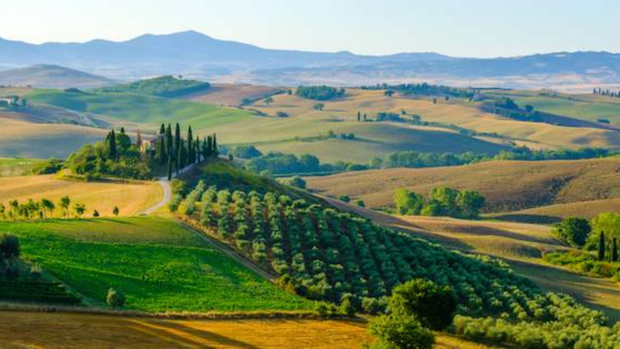 chianti-italy