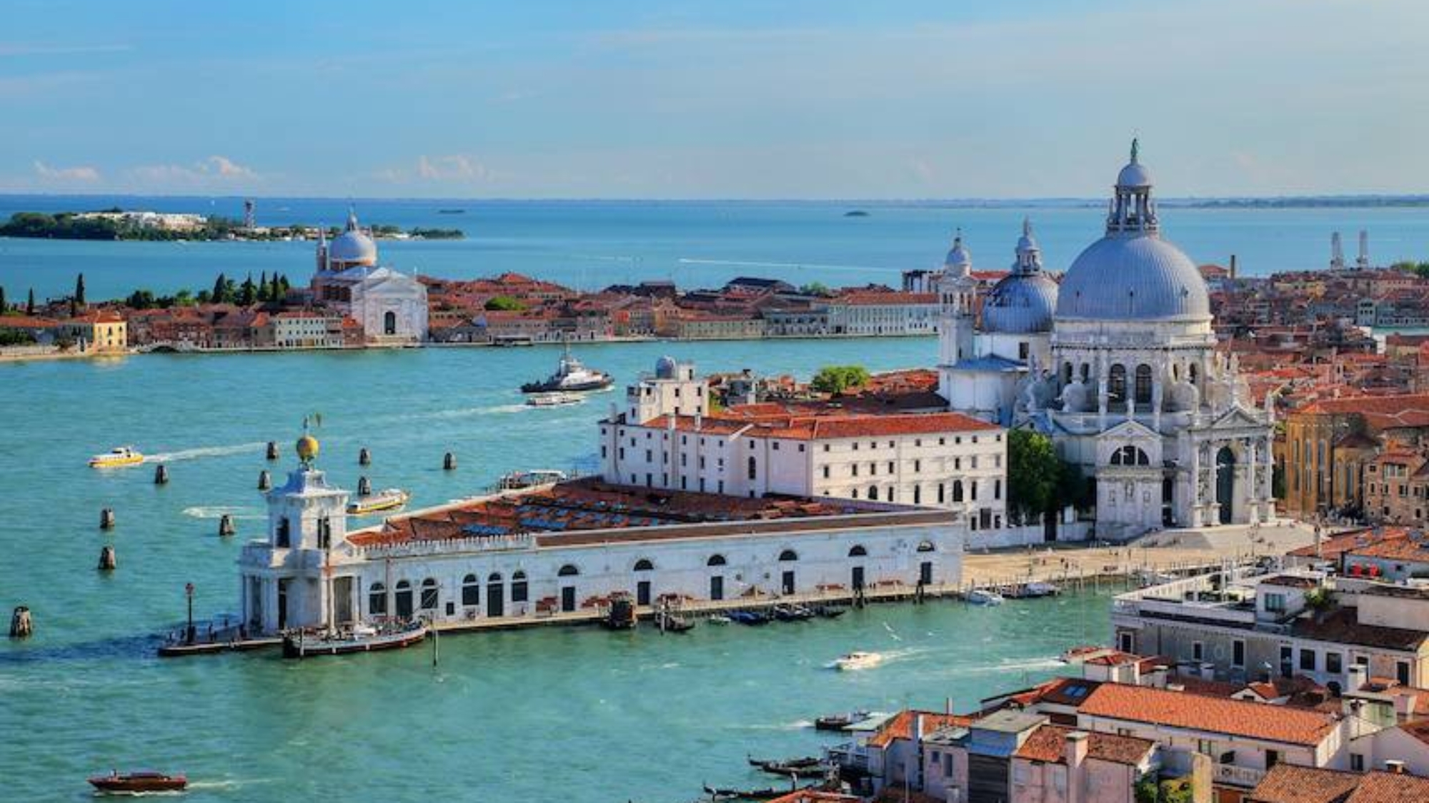 punta-della-dogana-venice