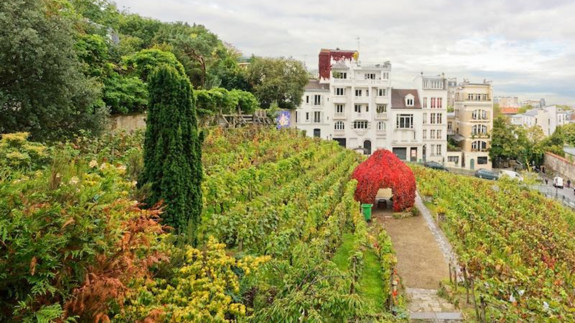Festival des Vendanges de Montmartre