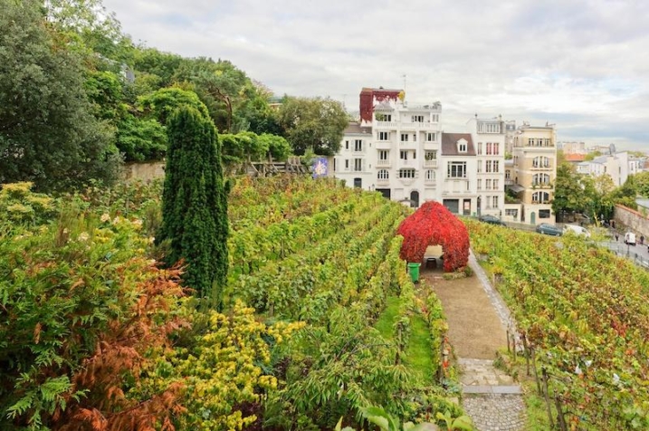 Festival des Vendanges de Montmartre